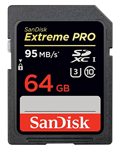 SanDisk Extreme Pro SDXC 64 GB (Class 10)