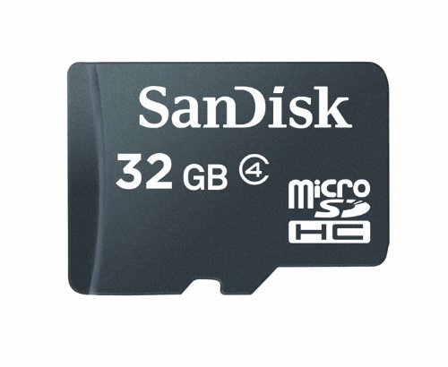 SanDisk microSDHC 32 GB (Class 4)