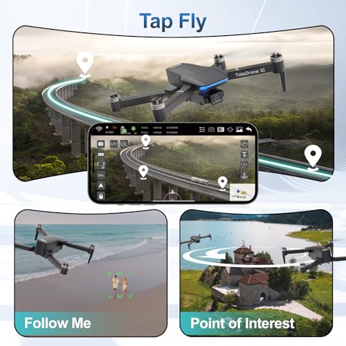 Toladrone TD31 Flugmodi